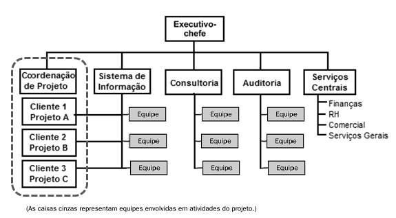 30 - estrutura matricial: otimiza pessoal para múltiplas aplicações de empreendimento, tem boa flexibilidade, mas freqüentemente é confusa quanto a linhas de autoridade.