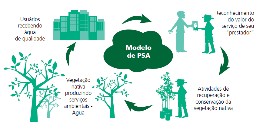 Características Fonte: Veiga F. & Gavaldão, M.