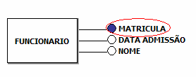 Atributos Quanto a composição: -Simples: quando é atômico, a matrícula de um funcionário, pois é um valor único.