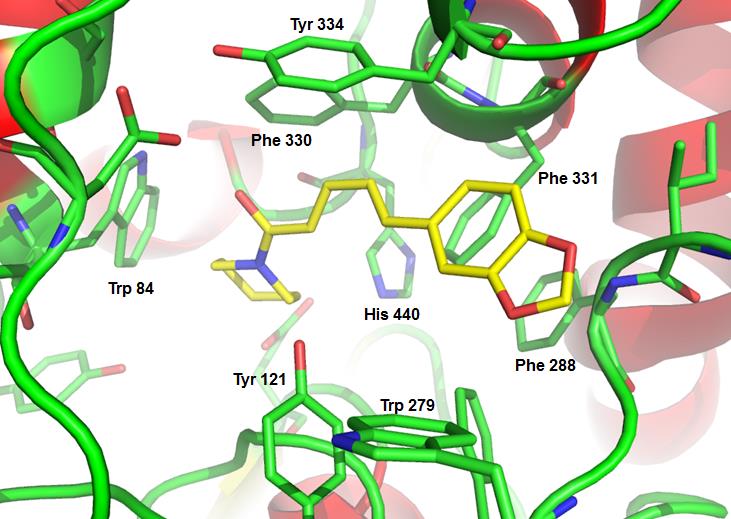 Figura 9: Representação 3D do modo de interação entre a piperina 12 (átomos de carbono em amarelo) e a acetilcolinesterase (A); Representação 2D da piperina 12 e interações no sítio ativo (B) A B