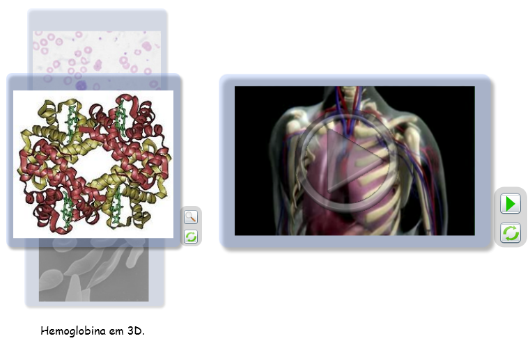 4.1. IMPLEMENTAÇÃO PARA PC 45 Figura 4.14: Elementos multimédia para o termo Anemia rato é possível aumentar ou diminuir a imagem, ou arrastá-la para de um lado para o outro.