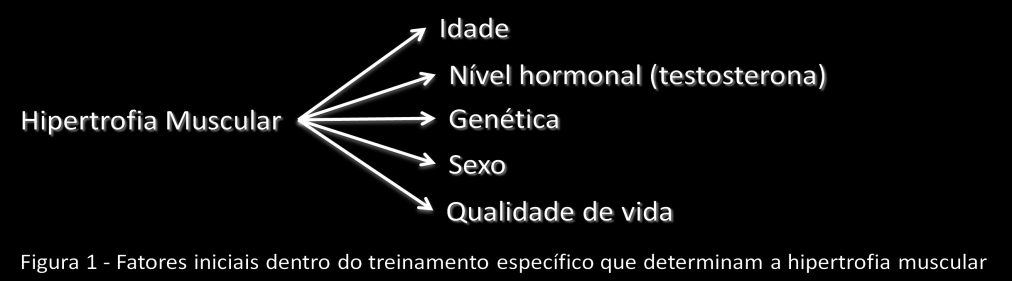 Hipertrofia Muscular Uma abordagem didática Muitas pessoas, pesquisadores, professores, atletas e treinadores já falaram sobre a hipertrofia muscular.