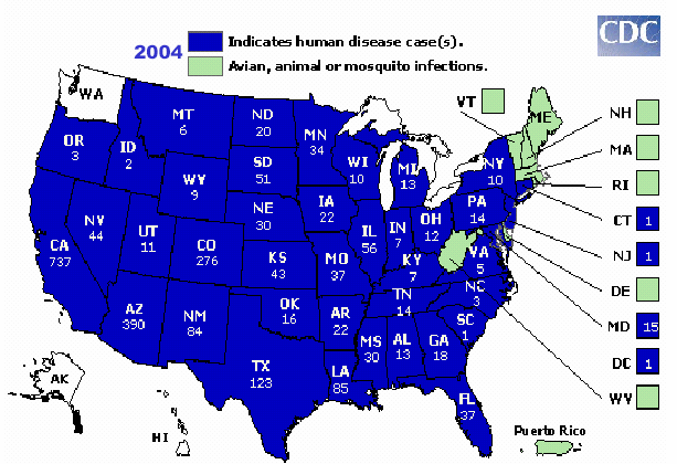 30 FIGURA 06: MAPA EPIDEMIOLÓGICO AMERICANO DO VNO EM 2002 Fonte: Fonte: Centers for Disease Control (CDC) 2006 Em apenas dois anos, o vírus foi detectado, ao norte, no Canadá, e ao sul, nas Ilhas