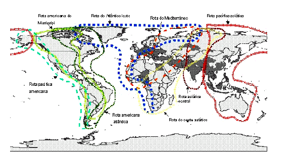 34 4.0_RESULTADOS 4.