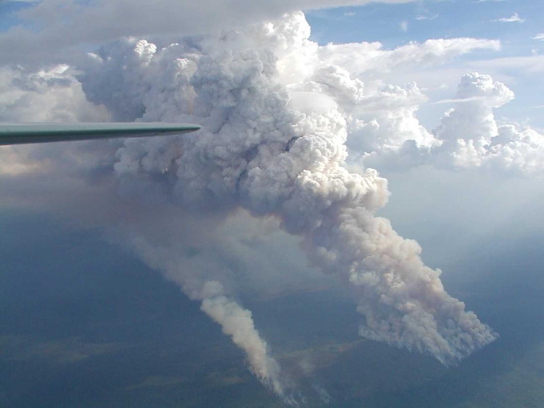 Hydrological cycle critical for Amazonia.