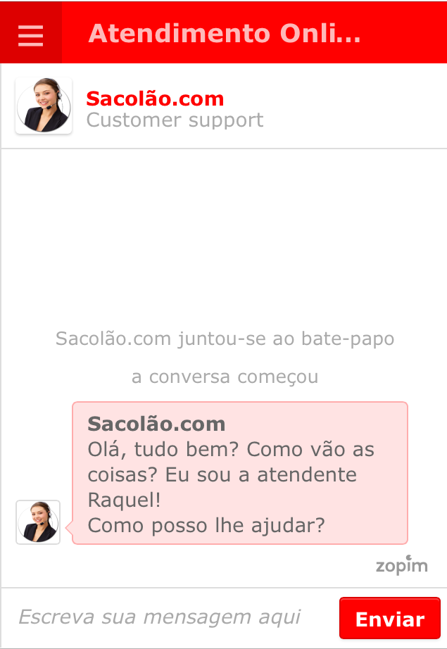 45 Fonte: Sacolao.com, 2014 No site existe uma vendedora virtual (que está online no mesmo horário de funcionamento da loja física), disponível para auxiliar o cliente na hora da compra.