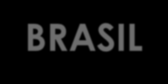apresentação PERFIL BRASIL 2013 é um caderno de DADOS de bases secundárias com o objetivo de revelar o setor de Assistência Domiciliar das esferas público e privada.
