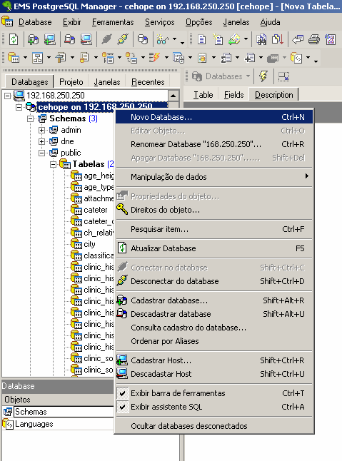 2.5.7 Criar uma Base de Dados Para criar um novo banco, basta clicar com o botão direito na conexão e selecionar Novo Database (figura 2.