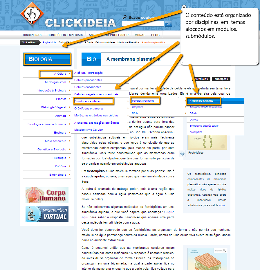 5. Clicando em qualquer ponto do menu da disciplina é possível visualizar que os conteúdos encontram-se organizados em os módulos, submódulos e páginas.