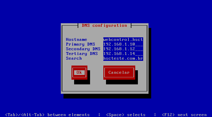 4 Agora vamos ajustar corretamente as configurações de DNS Selecione a opção Edit DNS configuration e pressione Enter para prosseguir 5 Insira o hostname deste servidor e configure o parâmetro