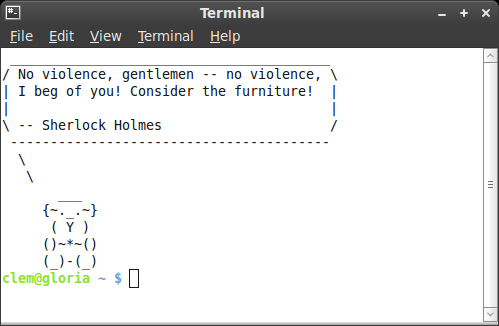 O botão "Terminal" inicia uma aplicação chamada "Terminal" que permite entrar comandos diretamente na linha de comando do seu computador.