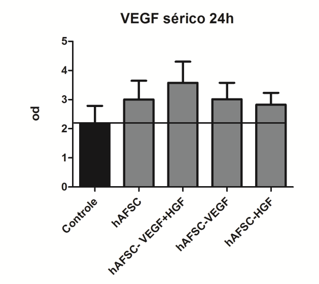 VEGF sérico em 24 horas Quantificou-se o VEGF sérico em 24 horas em todos os grupos (n=10), sendo observada uma elevação em todos os grupos tratados com terapia celular em elação ao grupo controle,