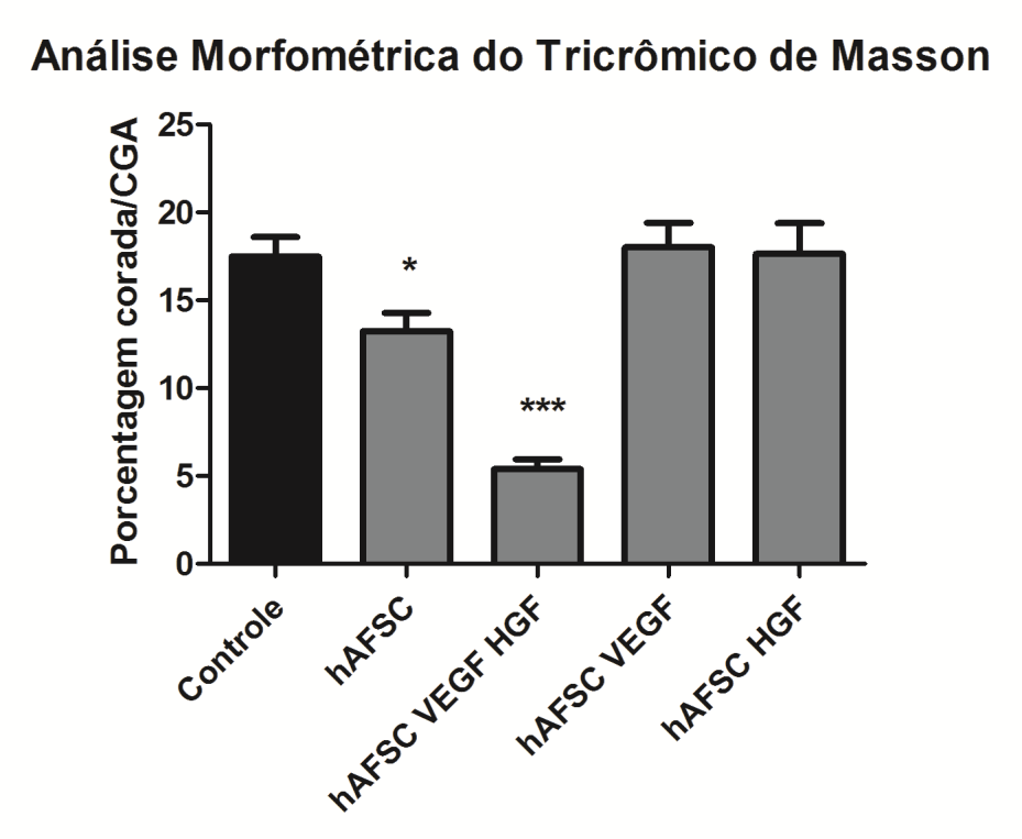 Análise morfométrica para fibrose renal A avaliação da área de fibrose intersticial foi estudada pela coloração Tricrômico de Masson.