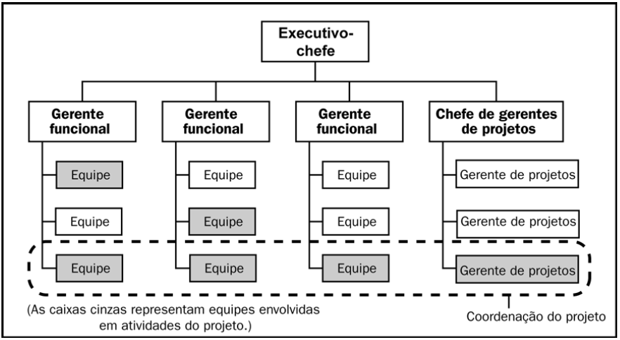 38 Figura 5: Organização matricial balanceada Fonte: Guia PMBOK (2006, p.
