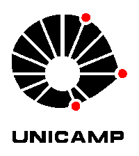 Universidade Estadual de Campinas - UNICAMP Faculdade de Engenharia