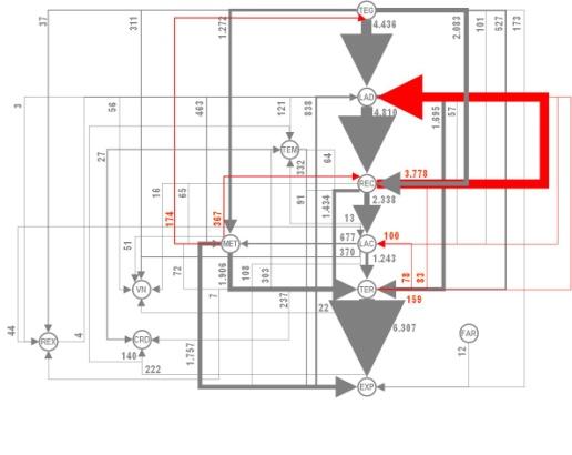 Cálculo da necessidades Dimensionamento das áreas / setores operacionais: B A D Projeto Básico (Block Layout) E C Otimização da relação de áreas com base nos fluxos: F Templates dos Equipamentos