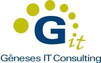 Gêneses IT Consulting (11)