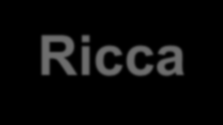 Quem somos A Ricca é uma empresa que busca trazer à atividade de RI o marketing e seus conceitos, ferramentas e valores, elevando o patamar de comunicação e relacionamento das companhias com seus