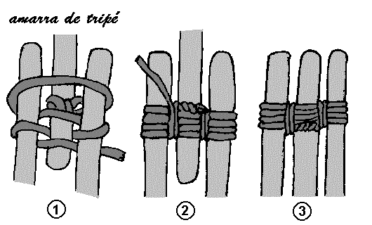 entre elas. A vara do meio deve estar colocada bem acima, afim de amarrar a sua extremidade inferior à extremidade superior das outras duas ao lado.