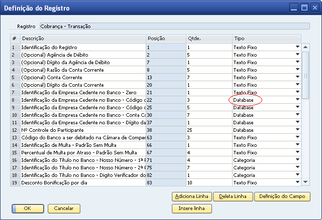 8. Databases Os databases são um conjunto de campos do banco de dados ou rotinas que realizam algum cálculo específico, como por exemplo, os contadores de lote, que estão disponíveis para o usuário