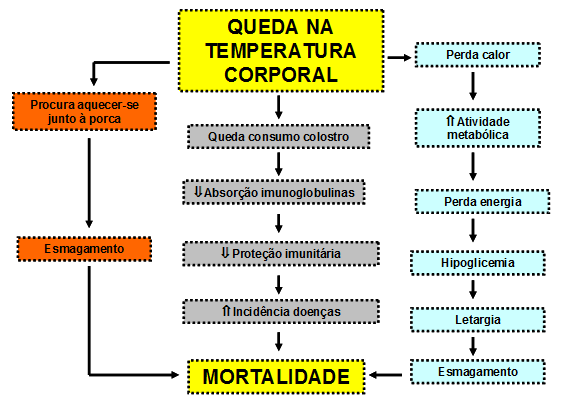 12 Fatos como a freqüente troca de lâmpadas devido à variação de temperatura ambiente, a falta de monitoramento das condições térmicas dos escamoteadores, a falta de um controle mais amplo na