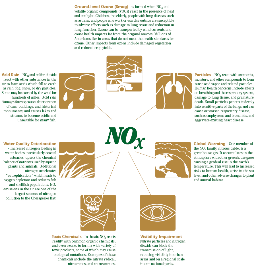 contribuem com a sobrecarga de nutrientes que deteriora a qualidade da água; reagem formando substâncias químicas tóxicas; são parcialmente responsáveis pelas partículas atmosféricas que causam danos