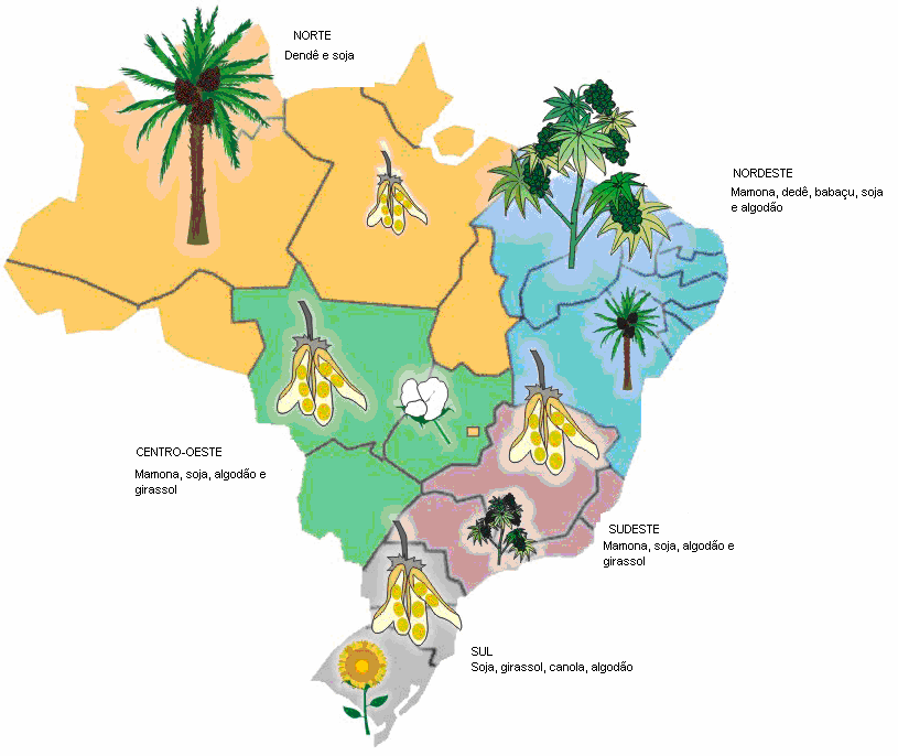 Figura 05 - Fontes de Biodiesel de acordo com as várias regiões brasileiras. FONTE: MCT, 2007. A matéria-prima representa mais de 50% do custo de produção do Biodiesel.