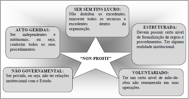 social é a chamada definição estrutural - operacional do setor Non-Profit de Salamon e Anheier (1996).