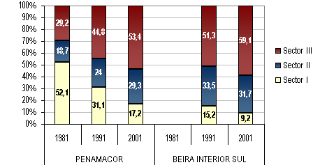 Na distribuição sectorial dos activos observa-se hoje uma preponderante afectação no sector terciário (53.4%), face aos sectores primário (17.2%) e secundário (29.