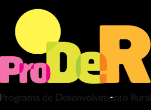 .28 DIAGNÓSTICO PROSPETIVO PRODER 2007-13 Sistemas de Incentivos às Empresas Ação 3.1.1. (Diversificação de Atividades na Exploração Agrícola) Ação 3.1.2. (Criação e Desenvolvimento de Microempresas) Ação 3.