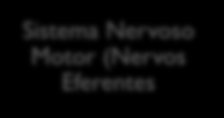 Sistema Nervoso Organização do SN de vertebrados Sistema Nervoso