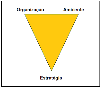 O equilíbrio entre a organização, a sua estratégia e o ambiente externo são de extrema importância.