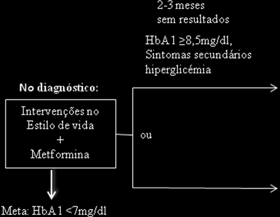 Figura 1. Algoritmo para o controlo metabólico da DM2. [Traduzido e adaptado de Nathan, et al. (2009)].