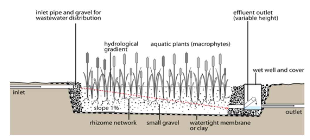 25 tubo de entrada saída de efluente (com altura variável) gradiente hidrológico plantas aquáticas (macrófitas) caixa de inspeção entrada inclinação 1% zona de raízes brita fina Figura 4 Wetland