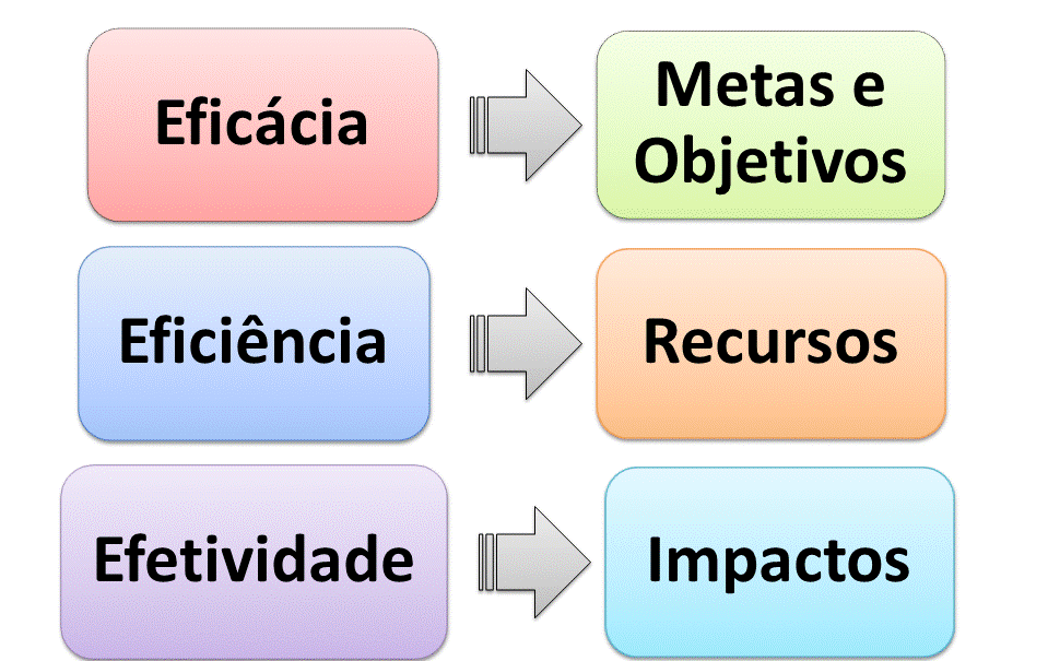 CLASSIFICAÇÃO DO DESEMPENHO EFETIVIDADE Capacidade de realizar determinada ação de maneira a atingir objetivos e de forma