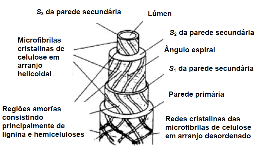 38 Quanto a sua composição, as fibras vegetais são formadas basicamente de celulose, hemicelulose, lignina, pectina e minerais.