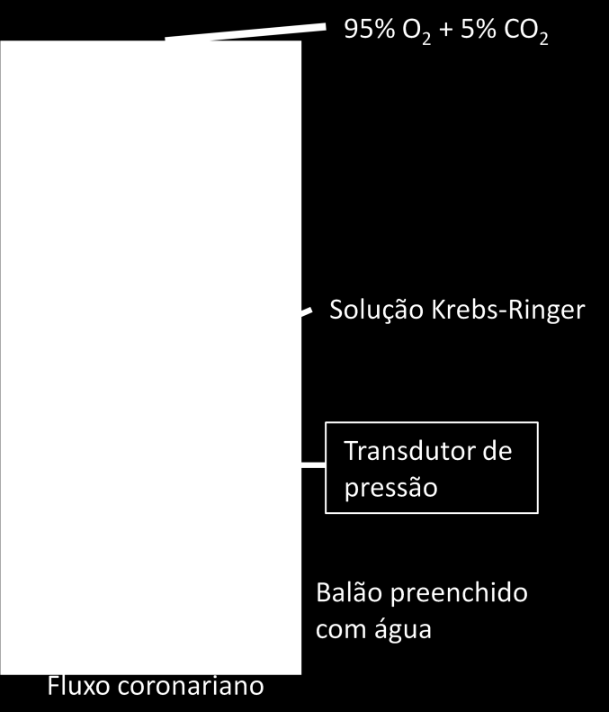 33 Figura 5 - Ilustração da técnica de coração isolado (método de Langendorff).