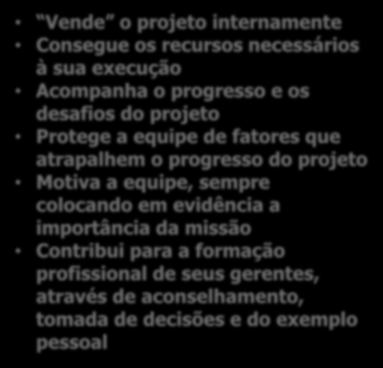 Principais Papéis e Perfis O que faz um bom Patrocinador Vende o projeto internamente Consegue os recursos