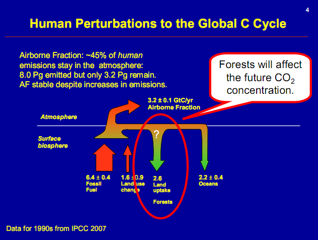 Human perturbations to