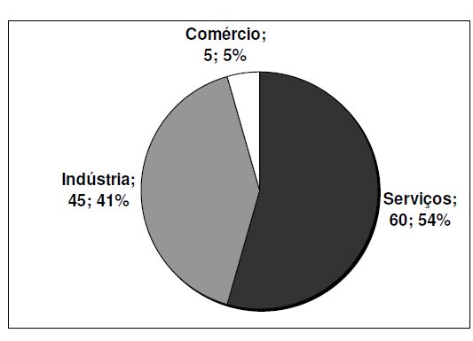 40 Figura 10 Classificação setorial das empresas Fonte: LUNARDI et al. (2007, p.