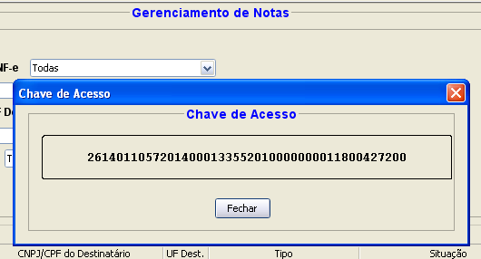 Solução 2: Para salvar o arquivo no Programa e Imprimir o DANFE: 1- Acesso o Programa Emissor Gratuito Gerenciar Notas >Selecione a NF-e rejeitada e clique no Botão - Chave de Acesso >Copie esta