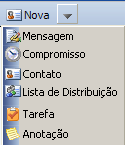 5. Adicionar Contatos no Catálogo de Endereços 1º Passo: Clique na seta ao lado do botão NOVA. Serão abertas as seguintes opções. Escolha a opção Contato.