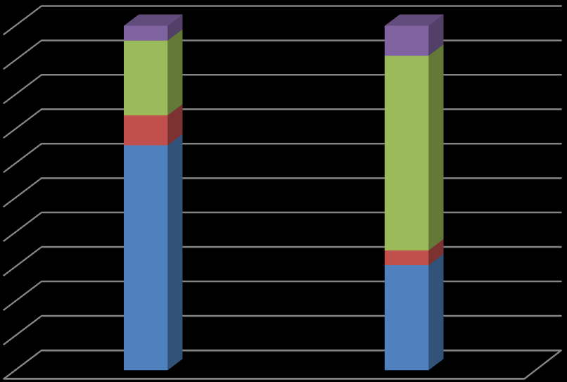 Nunca utilizou Já não utiliza Utliza actualmente Espera utilizar 100% 90% 80% 70% 60% 50% 40% 30% 20% 10% 0% Auditoria Interna Auditoria Informática Ilustração 14 Representação gráfica da utilização