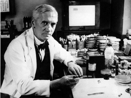 Histórico 1928 Fleming descobre a penicilina 1939 Inicia-se uso clínico 2ª Guerra Mundial 1940 Howard Florey e Ernst Chain produção em escala industrial. A era dos antibióticos.