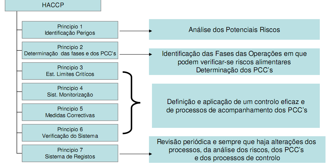 20 6ª. etapa, para proporcionar descrição fiel das etapas que envolvem o produto e, o mesmo, deve ser validado no local, na 7ª. etapa. Inicia-se então a aplicação dos sete princípios do APPCC (ou seja, as sete etapas restantes), adotado pelo Codex Alimentarius (Figura 1).