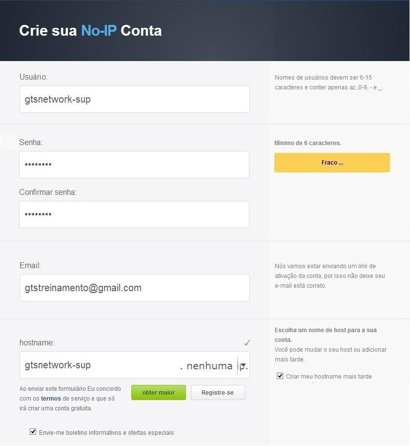 Após o preenchimento do formulário, marque a caixa Criar meu hostname mais tarde localizada na parte inferior direita, e em seguida clique em Registre-se.