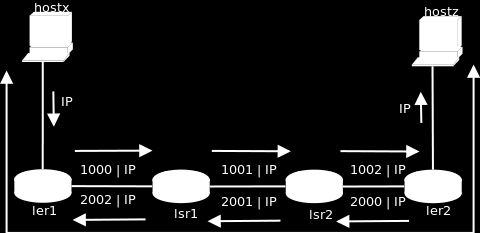 Figura 9: Rótulos MPLS tráfego entre hostx e hostz Para que o tráfego de pacotes entre os hosts seja feito usando apenas a rede MPLS os roteadores foram configurados para comutar os pacotes segundo