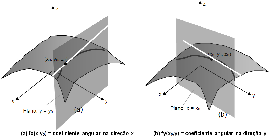 Sandra Regina Leme Forster Figura 3.1 Coeficiente angular. 3.3 Derivadas Parciais de Segunda Ordem f f = x x x = f x Diferenciar duas vezes em relação a x.