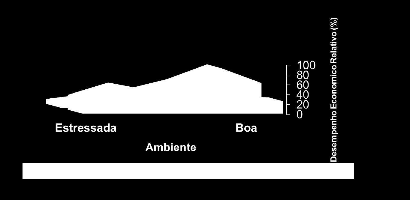 Desempenho relativo de populações selecionadas e nativas