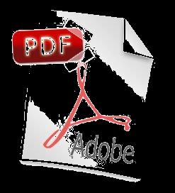 Portable Document Format (PDF) O formato PDF é um formato que permite a compressão utilizando o algoritmo JPEG. Foi criado pela Adobe e é possível de ser lido no software Adobe Reader.
